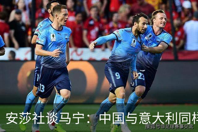 安莎社谈马宁：中国与意大利同样无缘世界杯，这位裁判被球迷追捧